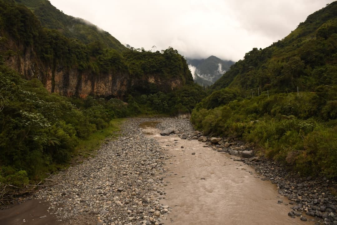 Across the Andes and Amazon, Indigenous Languages Find New Ground