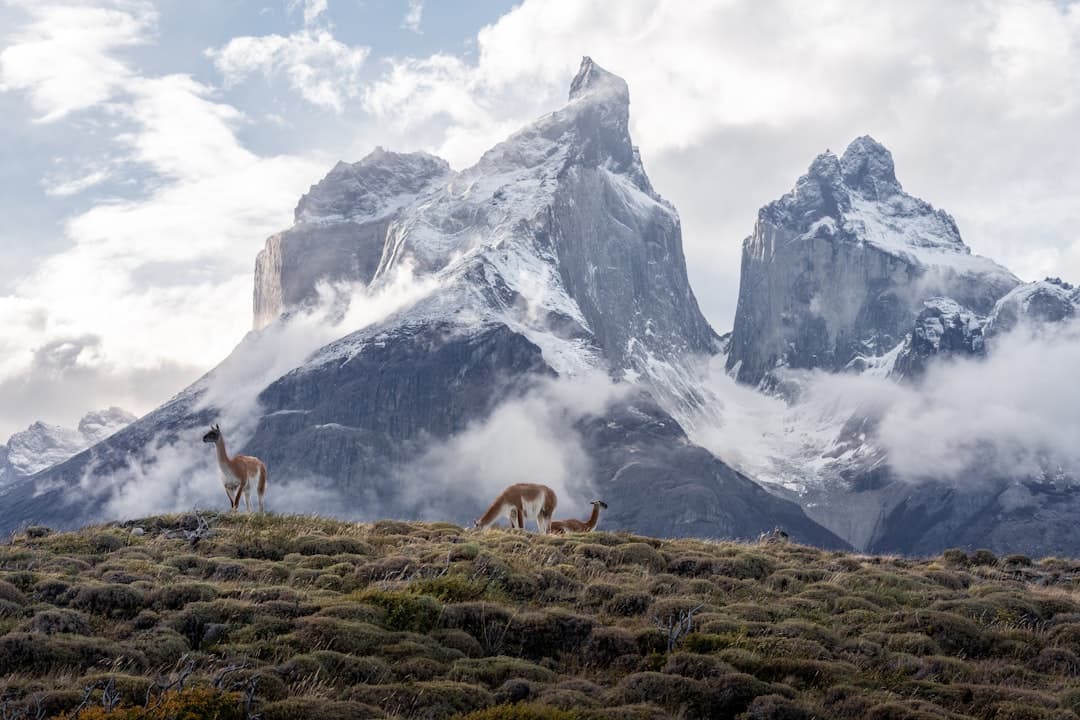Andes Mountain Corridor Emerges as Global Hub for Adventure Travel