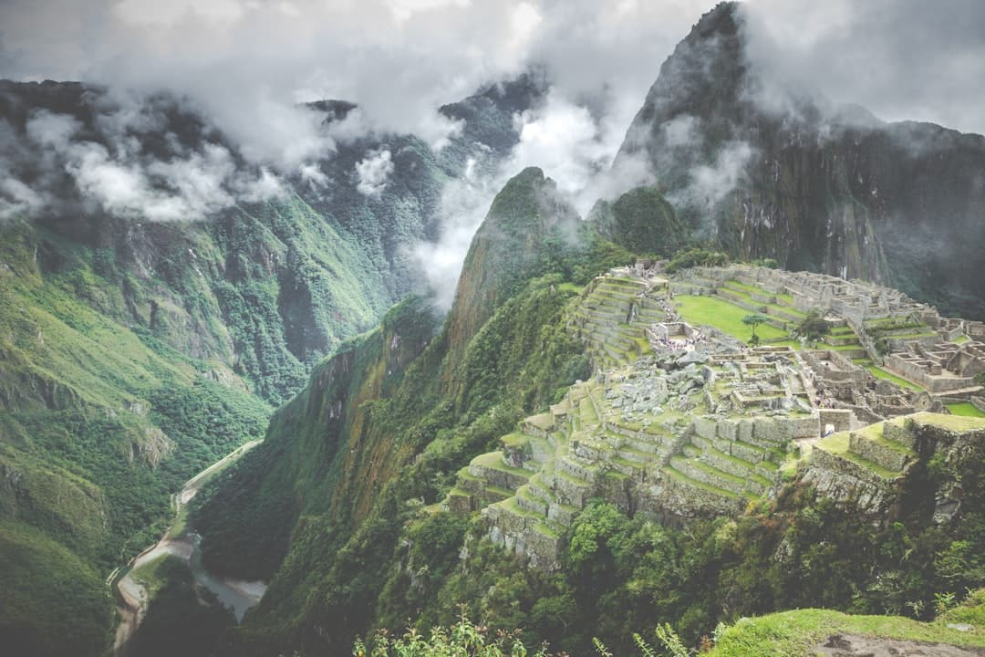 From Amazon to Andes: How Sustainable Gastronomy Is Redefining South America's Culinary Identity