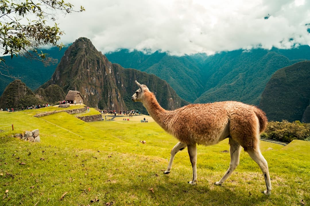 Peru Reshapes Its Tourism Sector Through Infrastructure, Heritage Protection, and Diversified Destinations