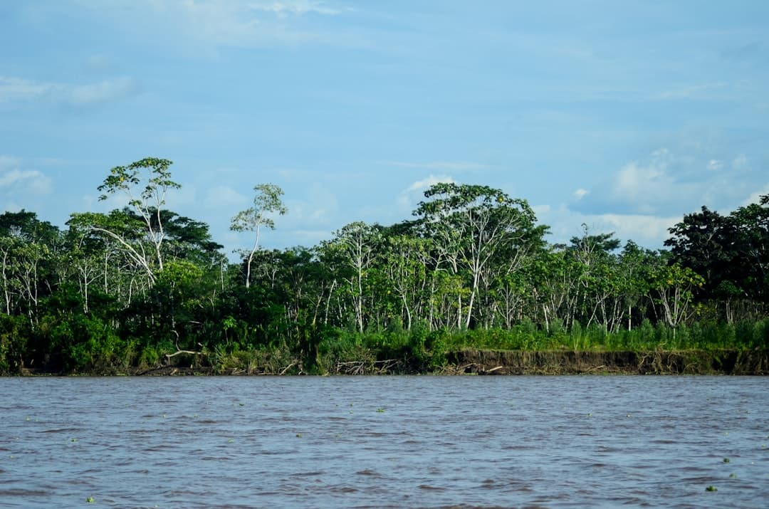 From the Amazon to the Andes: South America Emerges as a Hub of Global Scientific Discovery