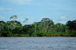 From the Amazon to the Andes: South America Emerges as a Hub of Global Scientific Discovery