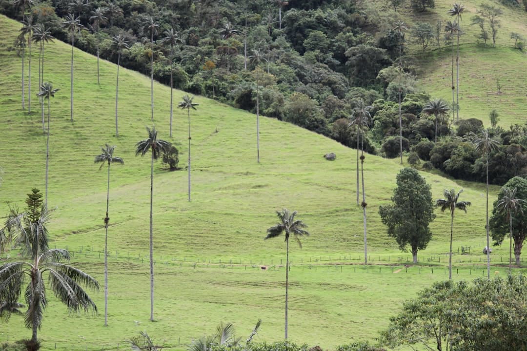 Capital Flows Into South America as Investors Target Energy, Tech, and Agriculture