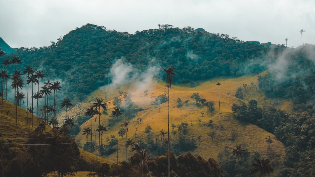 Colombia's Natural Landscapes Emerge as Engines of Tourism Growth