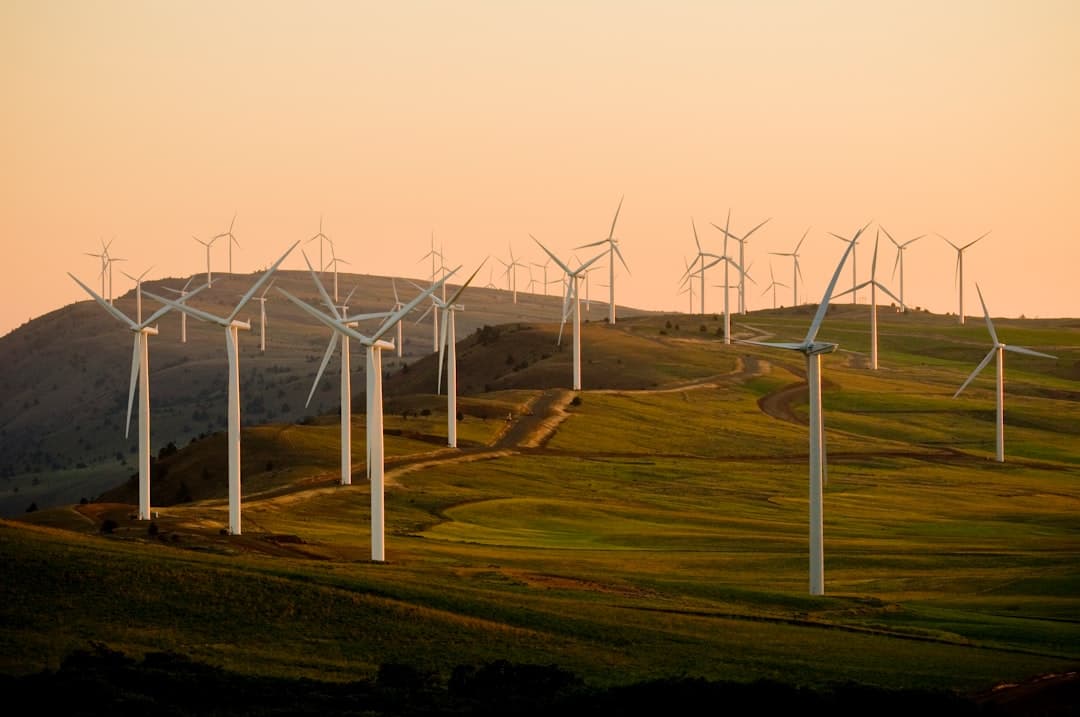 Renewable Capital Flows Alter the Economic Landscape Across South America