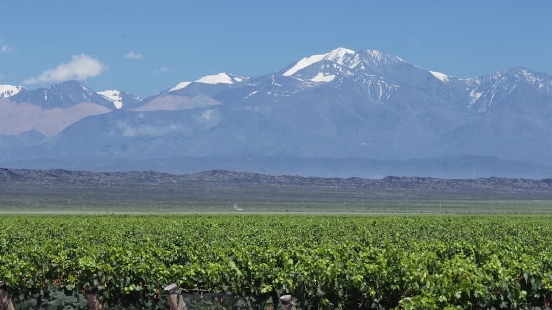 Mendoza Cements Its Place at the Center of Argentina's Food and Wine Culture