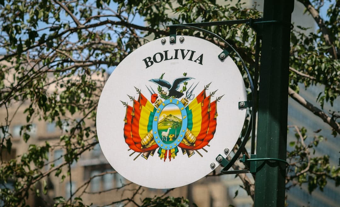 Bolivia's Informal and Micro-Enterprise Sector Expands Amid Shifting Economic Conditions