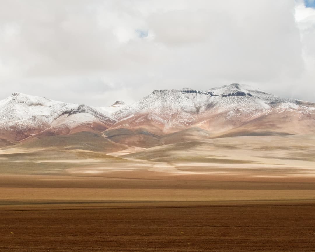 From Altiplano to Table: How Bolivia's Native Crops Define a National Cuisine