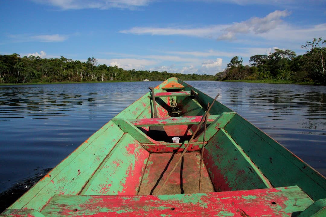 From the Amazon to the Table: How Brazilian Chefs Are Redefining a National Kitchen