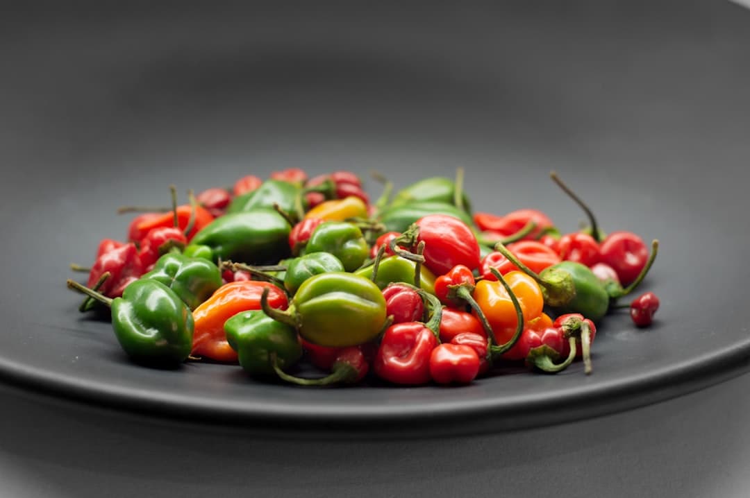 Chile Emerges as a Premier Destination for Culinary and Wine Tourism