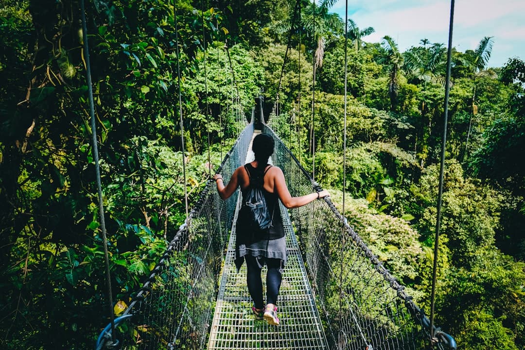 Inside Costa Rica's Rainforests: A Guide to the Country's Most Biodiverse Wilderness Areas