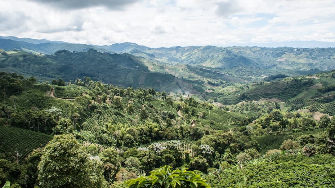 Guatemalan Coffee and Traditional Dishes Draw International Attention