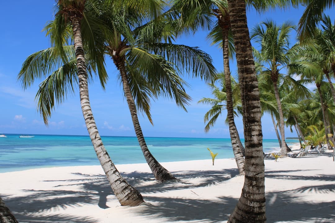 Beyond Punta Cana: The Dominican Republic's Lesser-Known Coastal Gems Draw Discerning Travelers