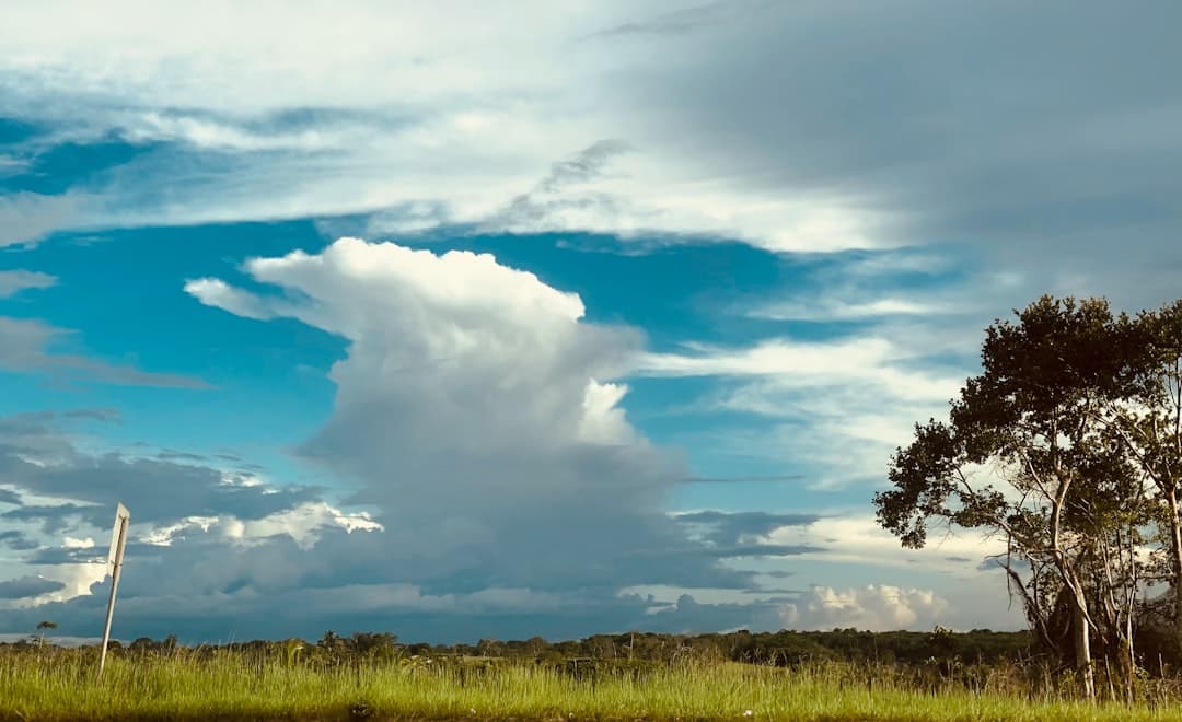 Guyana's Indigenous Peoples Keep Ancient Traditions Alive Through Art and Culture