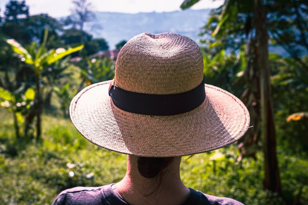 Panama's Coffee and Culinary Traditions Earn Recognition Beyond Its Borders