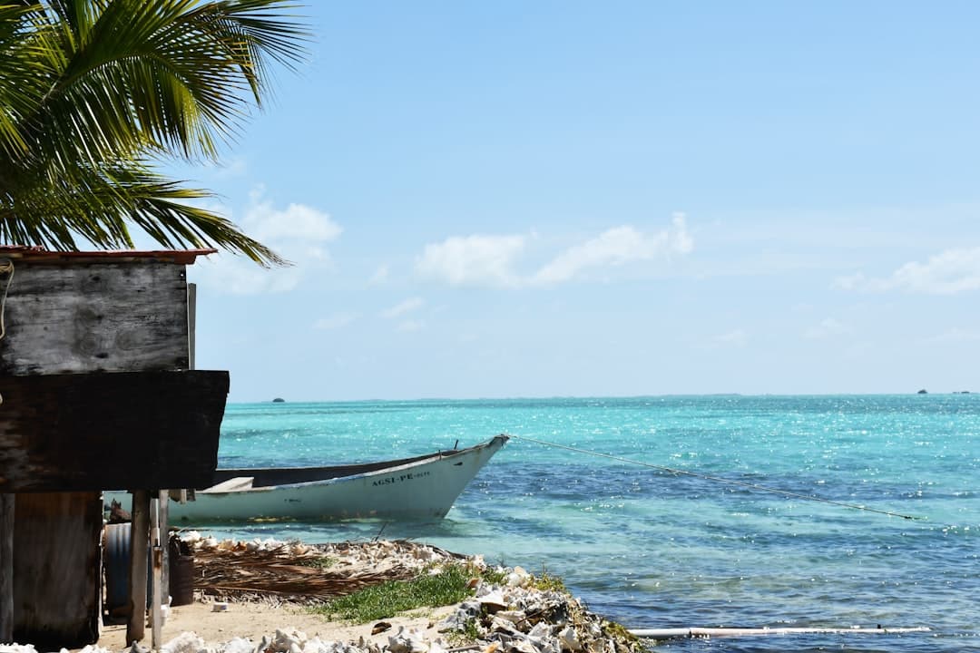 Venezuela's Caribbean Shoreline and Protected Wilderness Draw Renewed Attention from Regional Travelers