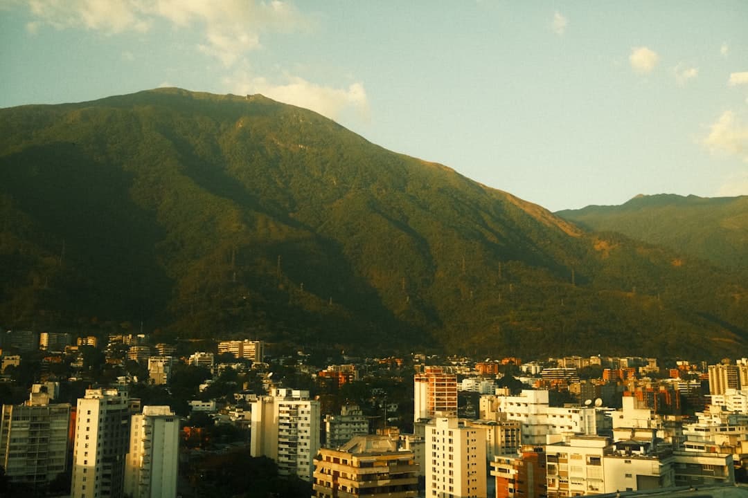 From Caracas to the World: The Enduring Global Appeal of Venezuelan Arepas
