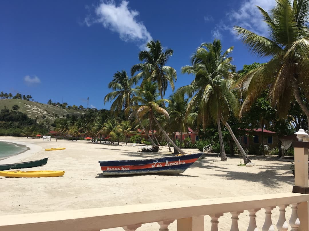 Haiti's Spiral: How Gang Rule and Political Paralysis Are Reshaping Caribbean and African Diaspora Security