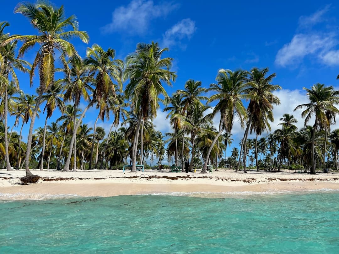 San Blas Islands: A Traveler's Guide to Panama's Kuna Yala Archipelago