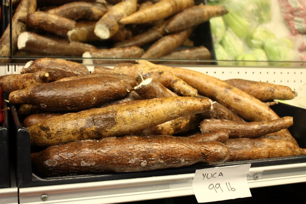 Corn, Cassava, and Cheese: The Culinary Foundations of Paraguay