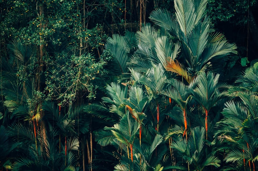 From the Jungle to the Table: The Rich Culinary Traditions of Peru's Amazon Basin