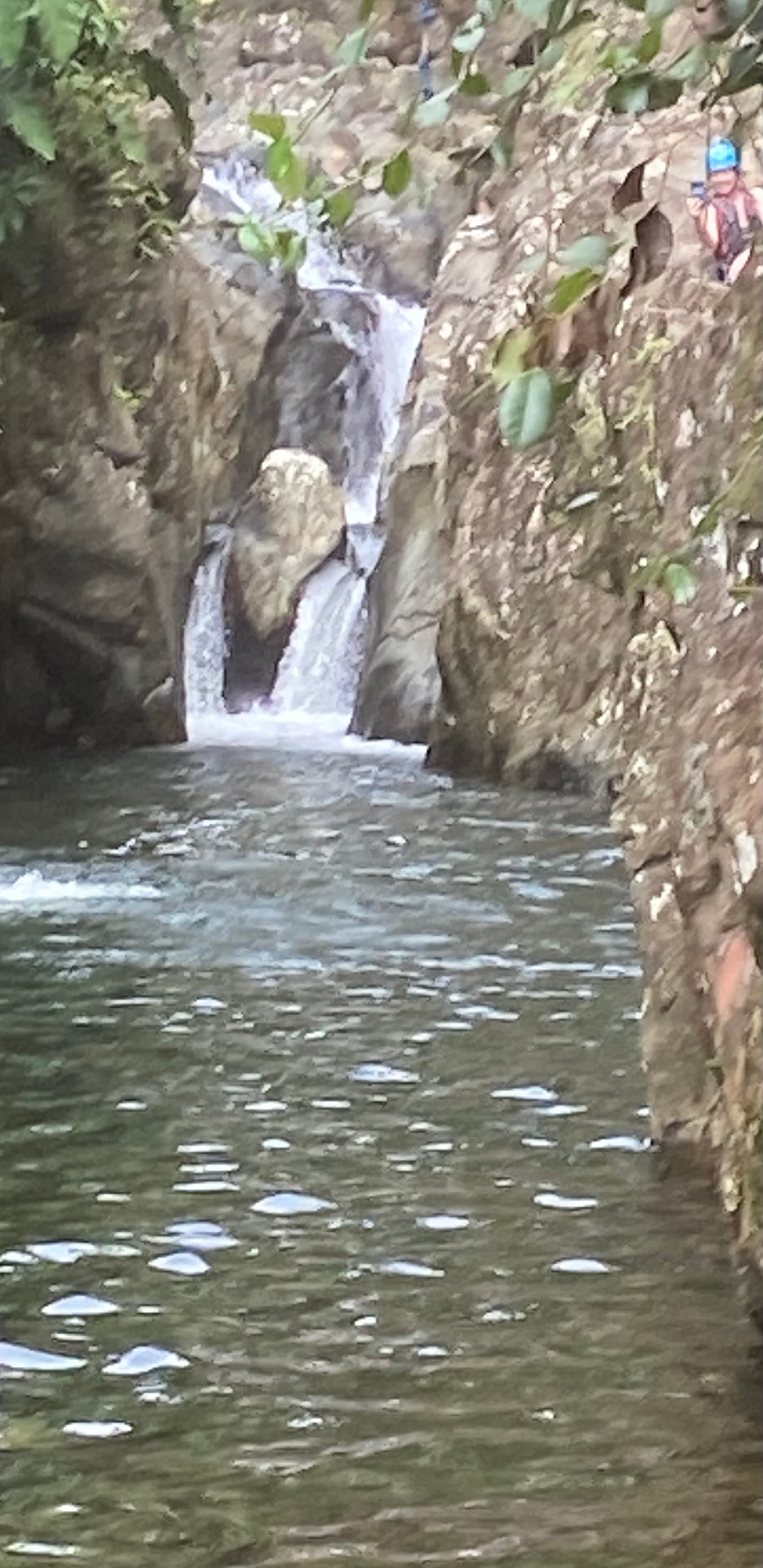 El Yunque: The Only Tropical Rainforest in the United States National Forest System